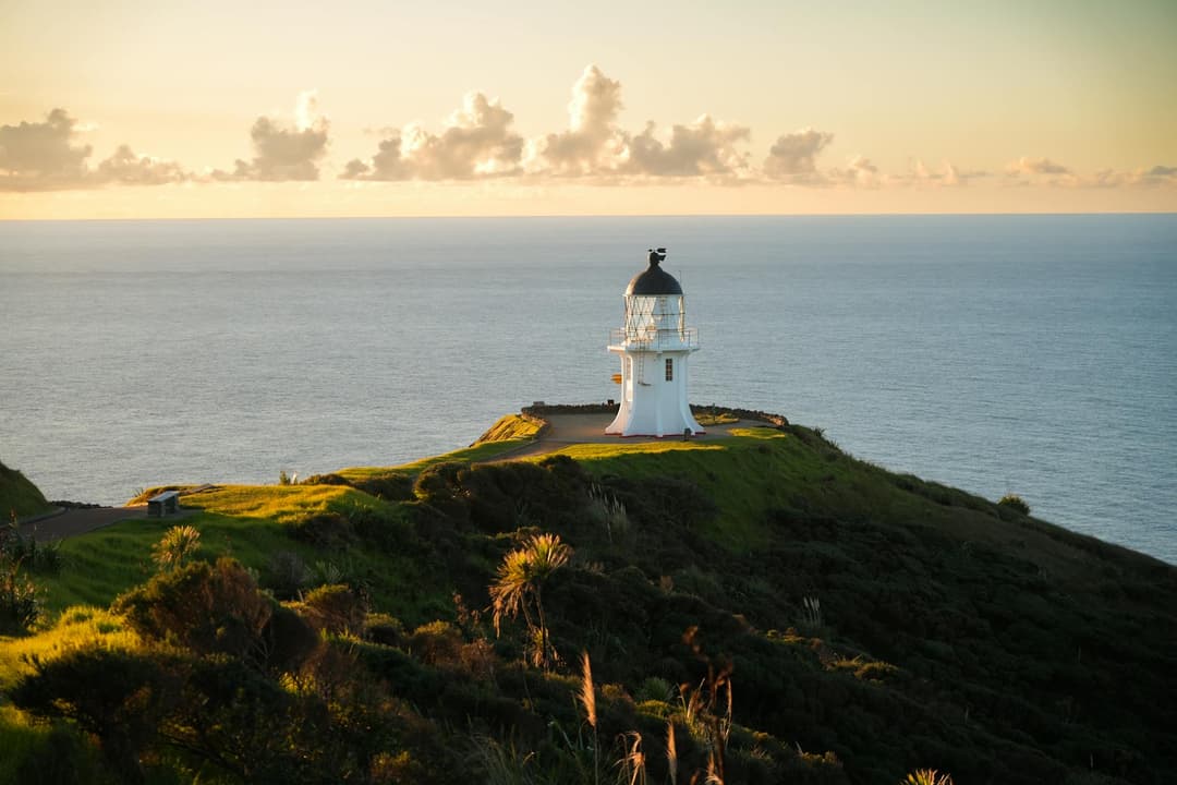 new-zealand-transfer-pricing