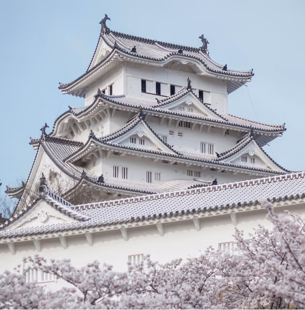 Ultimate Guide to Starting a Subsidiary Company in Japan