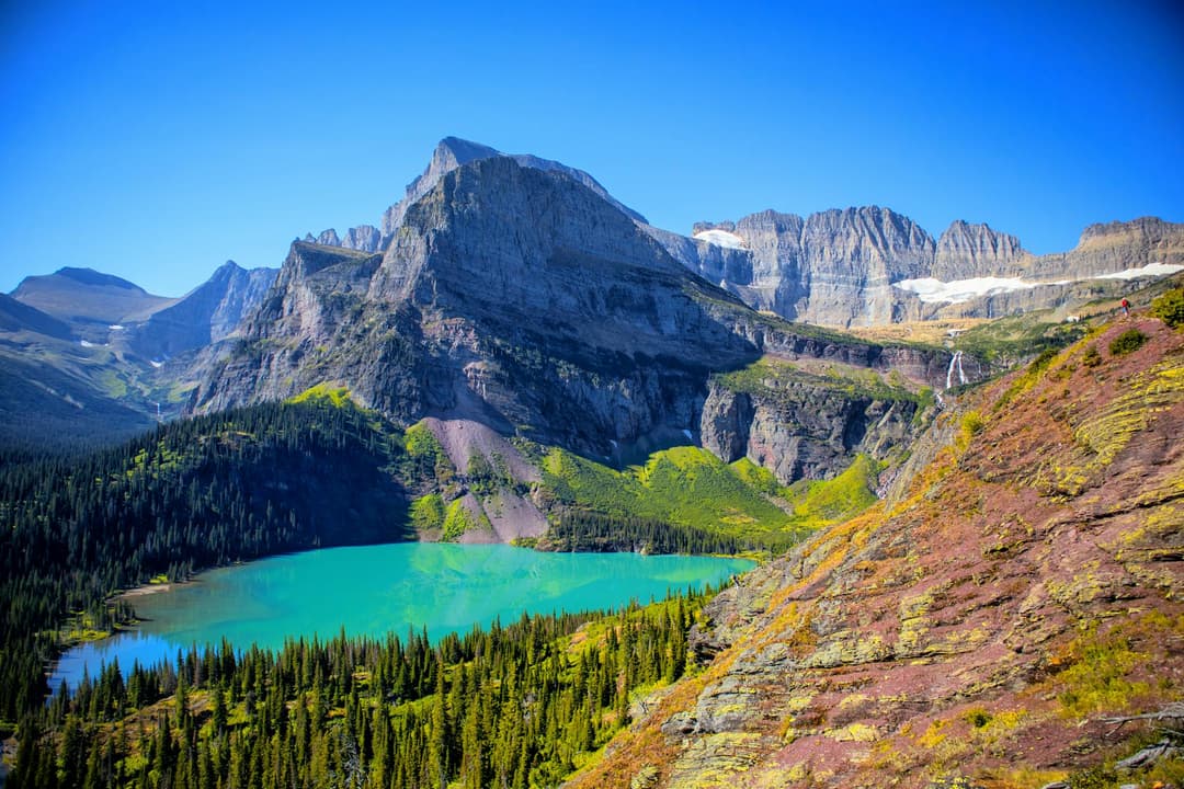 how-much-does-an-llc-cost-in-montana