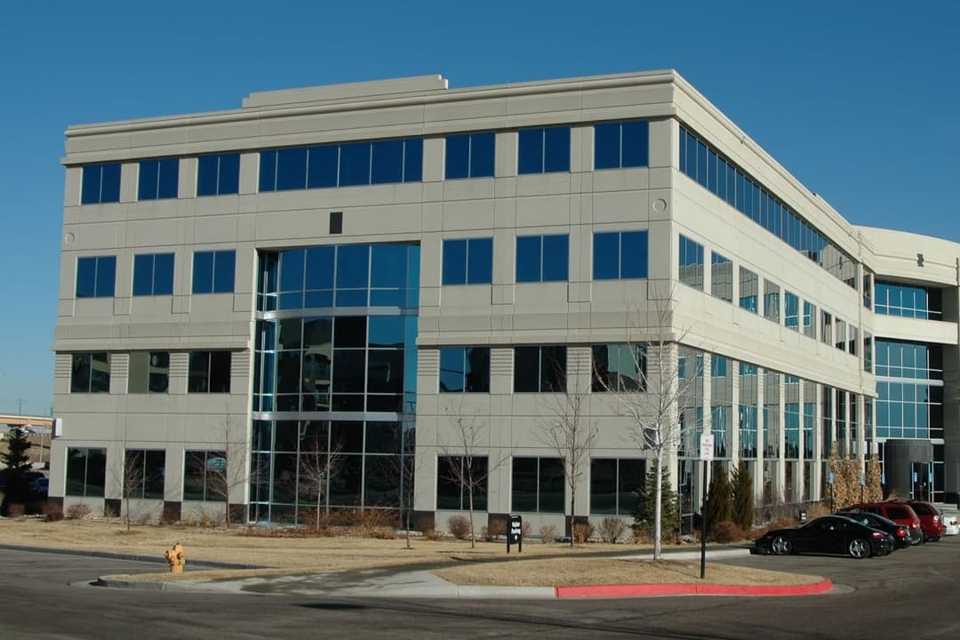 Colorado Business Entity Search