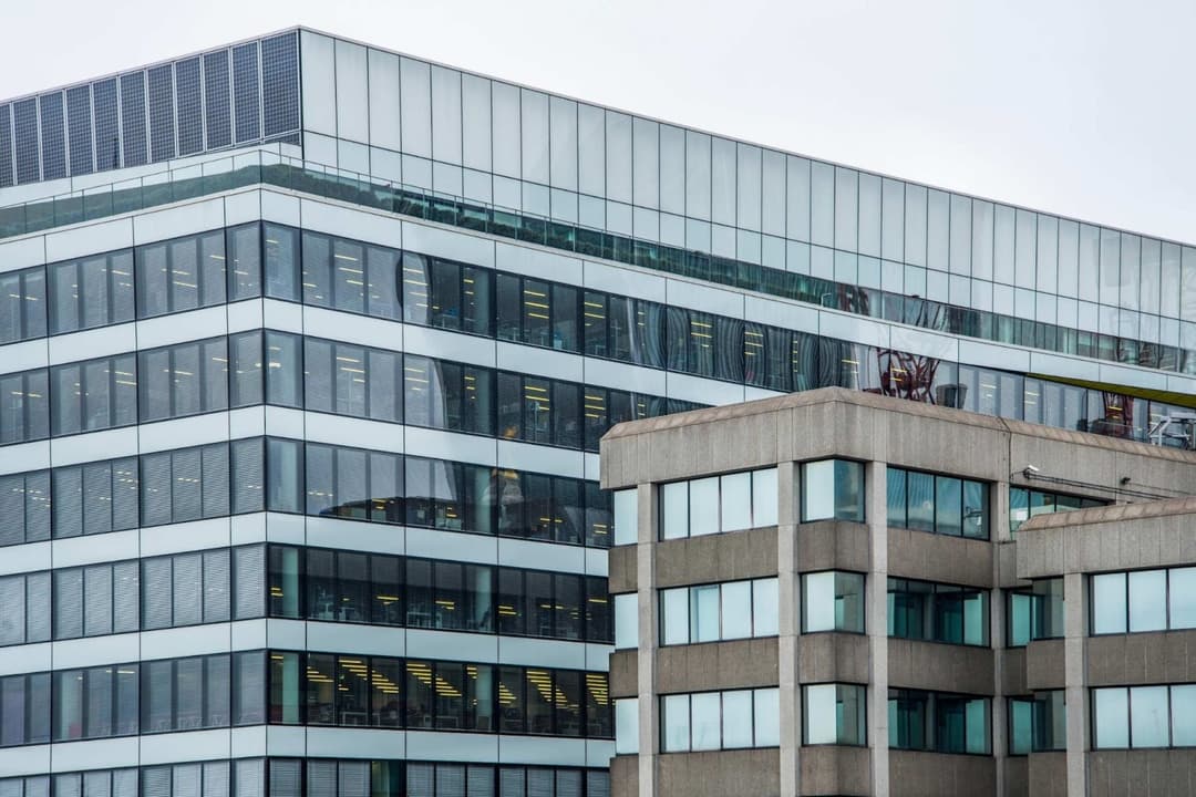 Connecticut Business Entity Search