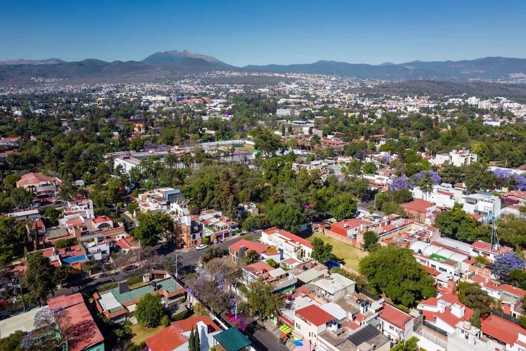 Business License Mexico: Who needs one and how to apply