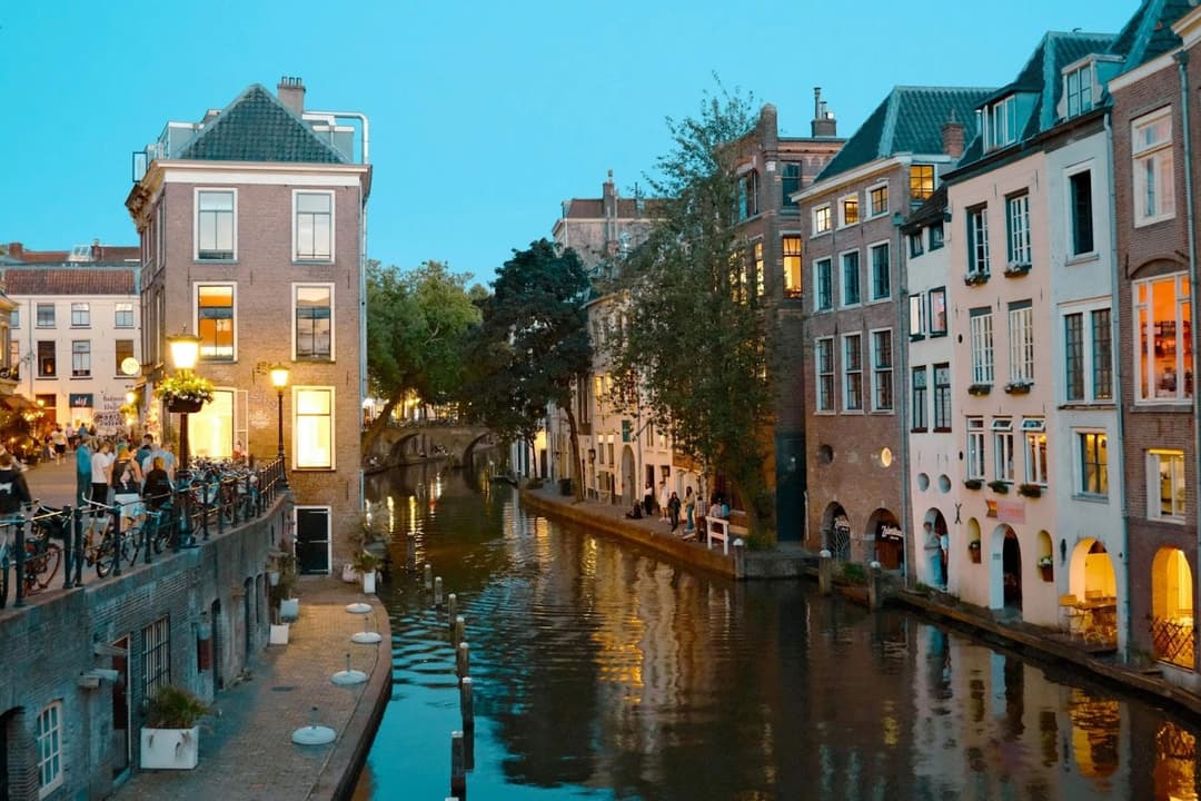 Business licence Netherlands: Who needs one and how to apply