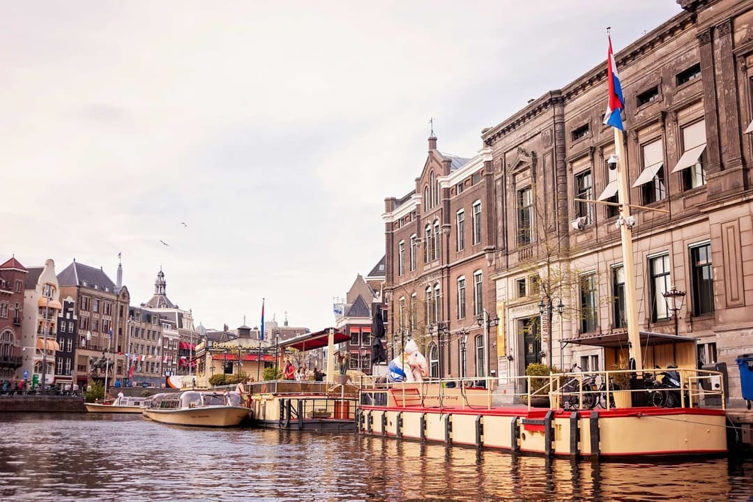 starting-business-netherlands