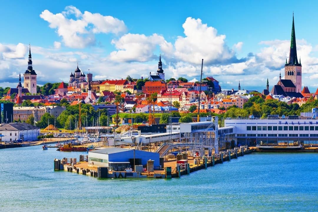 fiscal-representation-estonia
