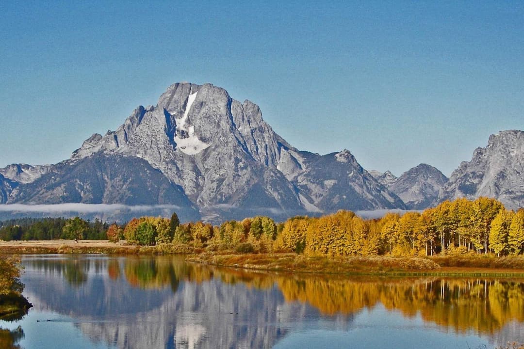 wyoming-business-license
