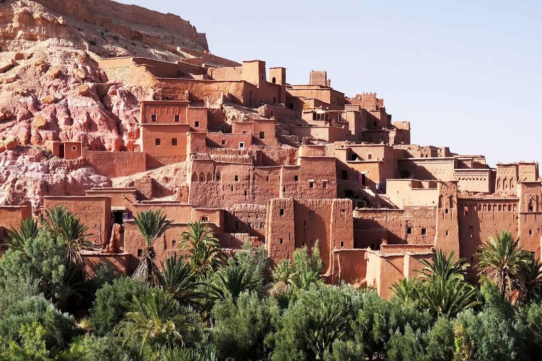 start-llc-morocco