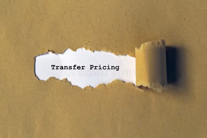 Transfer Pricing Documentation: Compliance, Risks, & Best Practices for Businesses