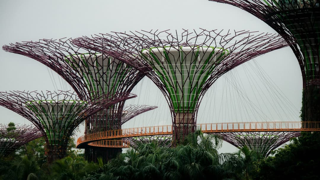 IR8A in Singapore: Applicability, process, and deadline