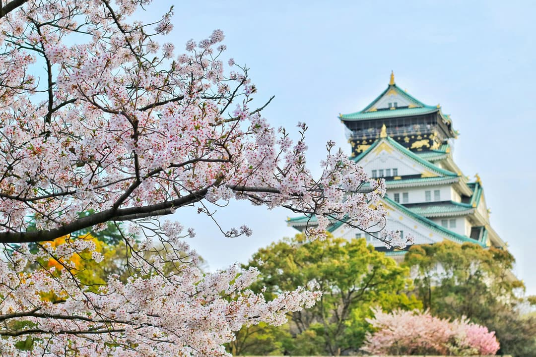 A Guide to Corporate Taxes in Japan