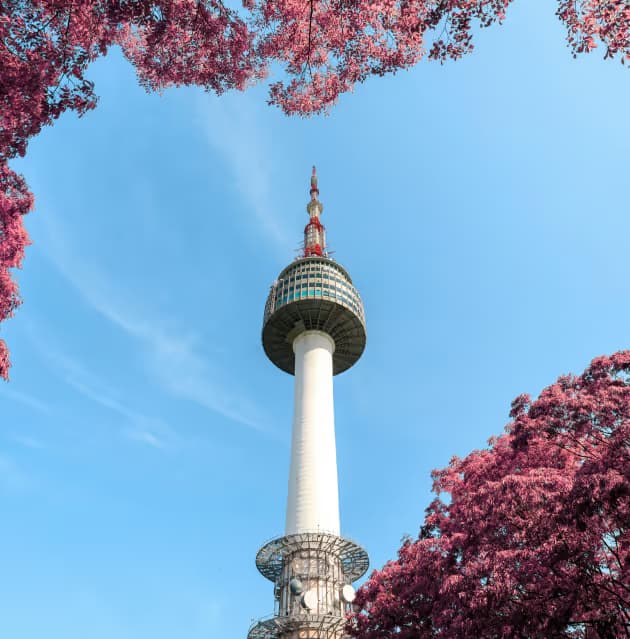 Ultimate Guide to Starting a Subsidiary Company in South Korea
