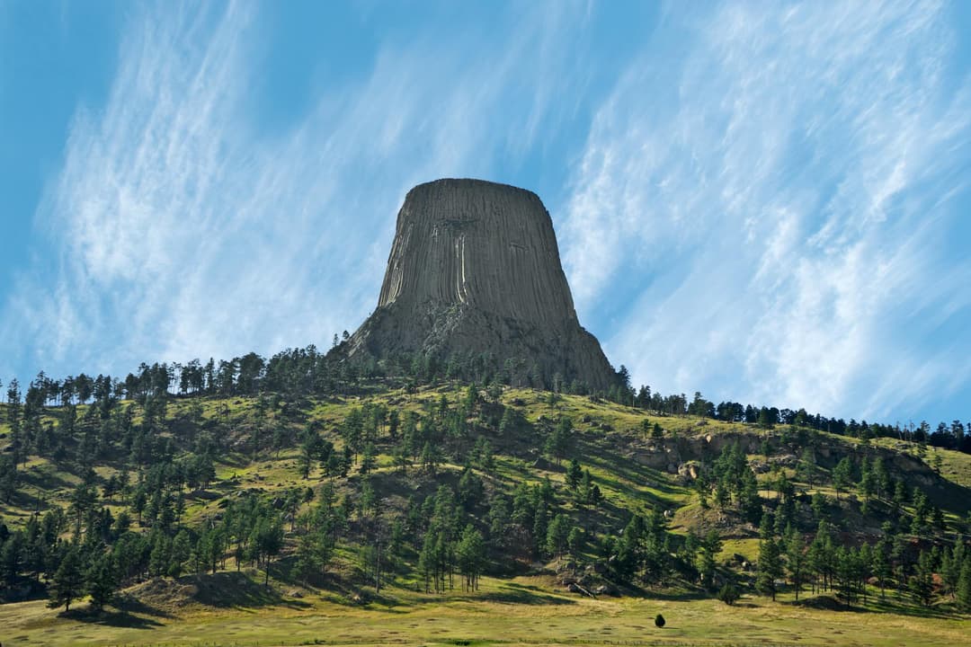 wyoming-llc-formation