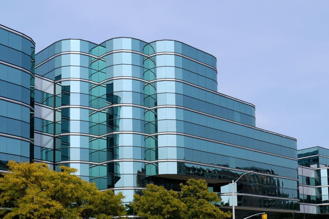 Washington Business Entity Search
