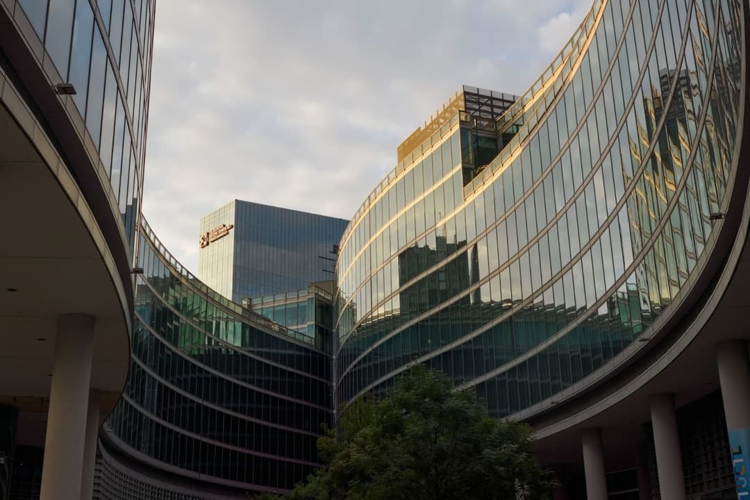 register-company-new-zealand-india