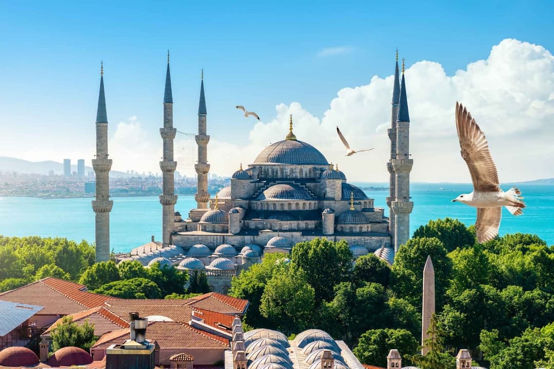 transfer-pricing-turkey