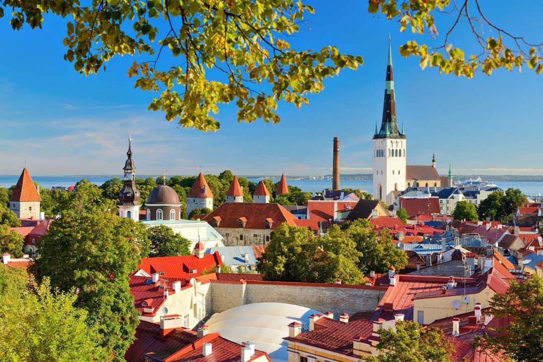 estonia-business-setup