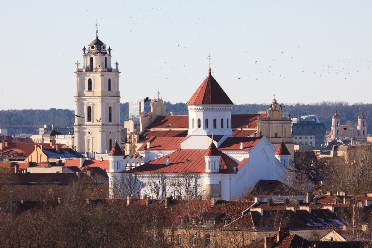 Fiscal Representation for VAT Compliance in Lithuania