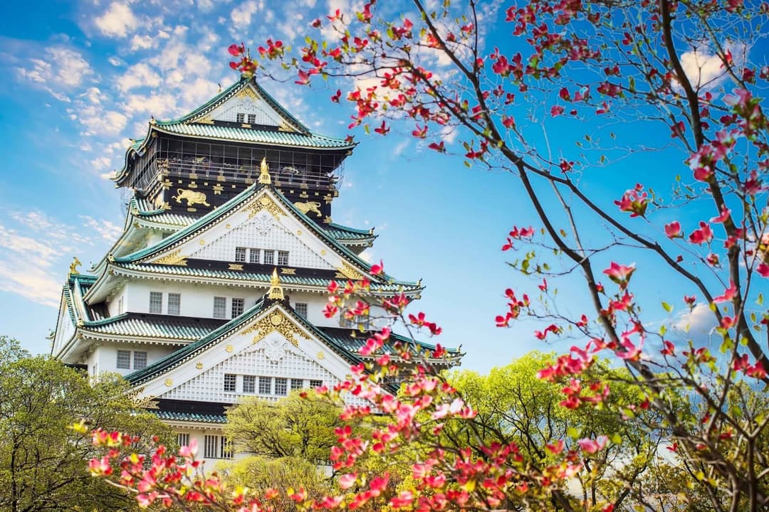 register-company-uae-from-japan