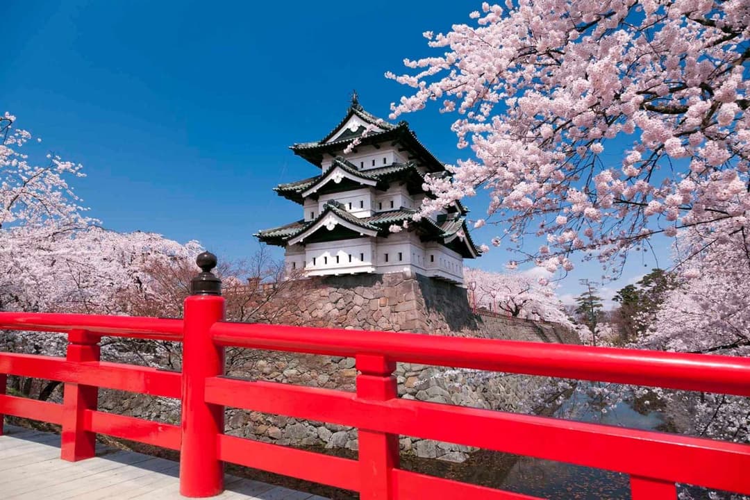 japan-fiscal-representation