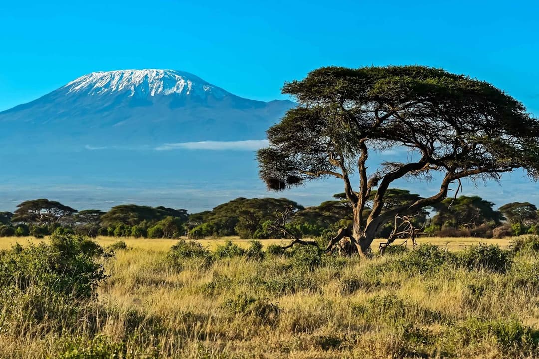 register-llc-kenya