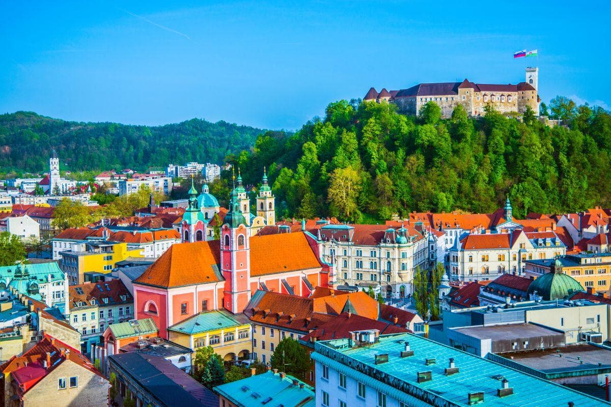 Fiscal Representation in Slovenia