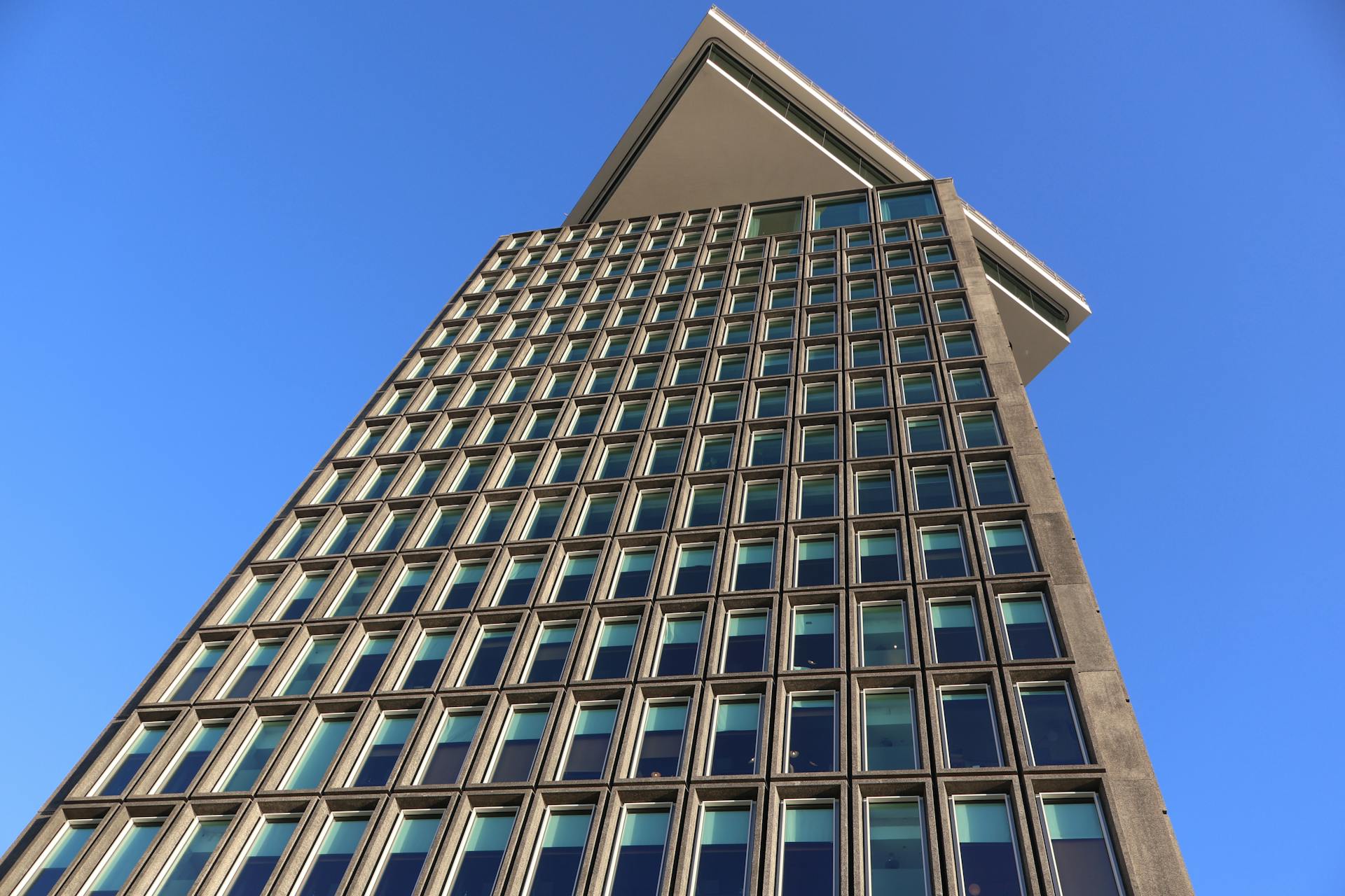 wyoming-business-entity-search