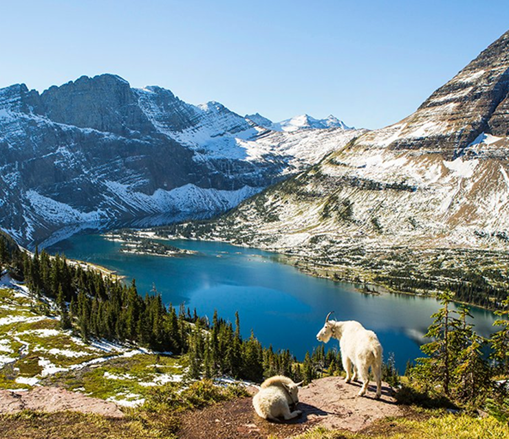 Montana State Sales Tax Rate