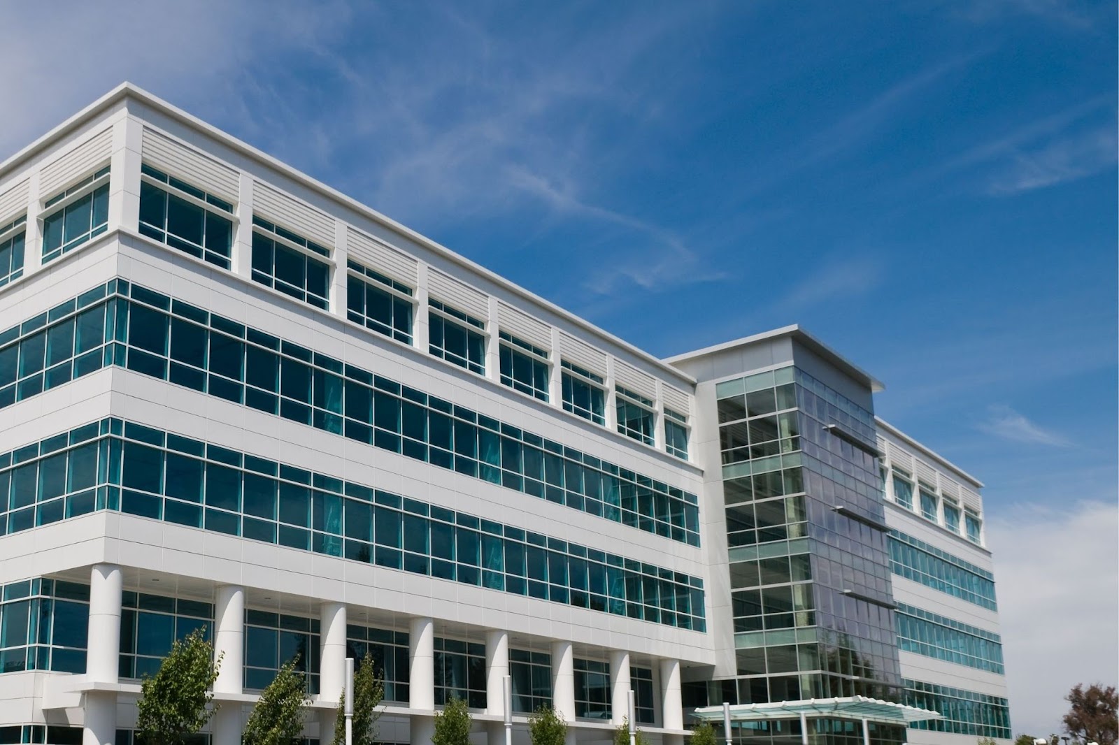 Maine Business Entity Search