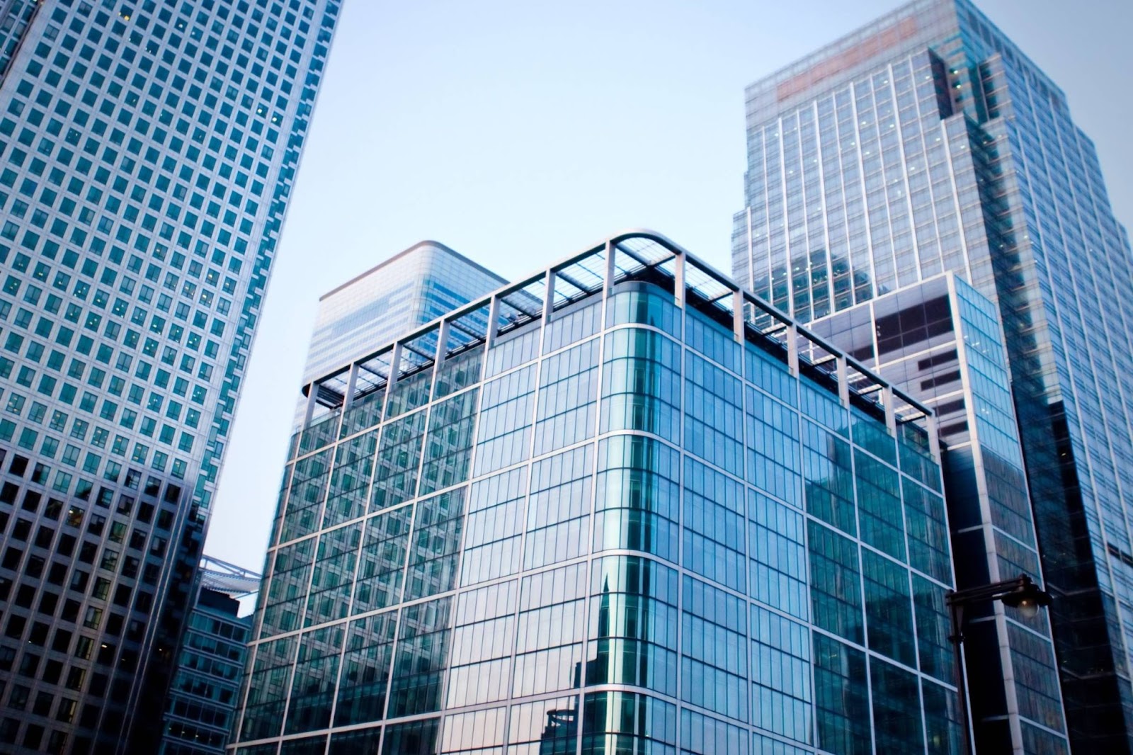 North Carolina Business Entity Search