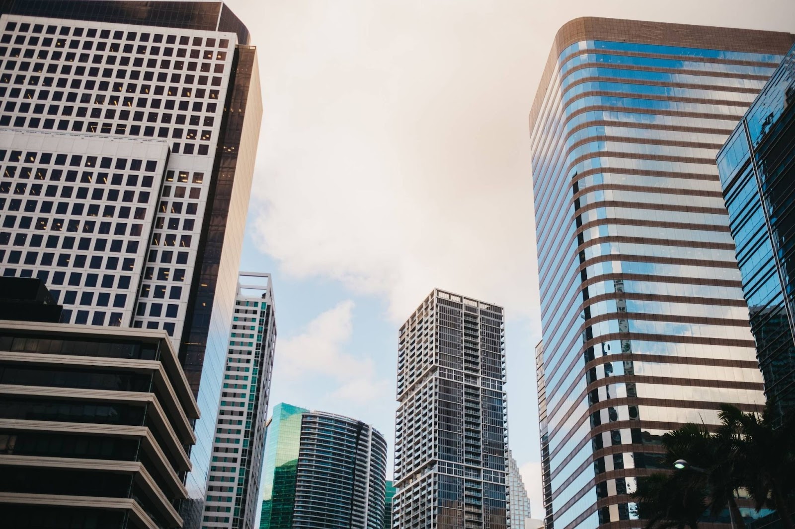 Rhode Island Business Entity Search