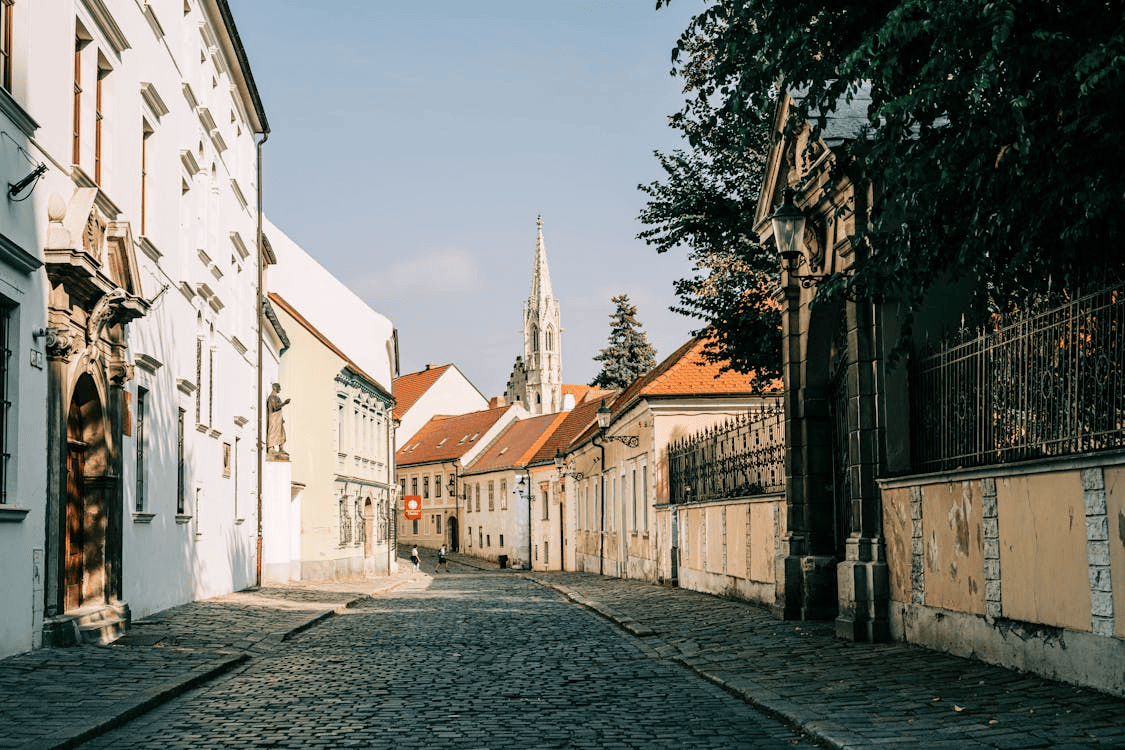 VAT ID Verification in Hungary