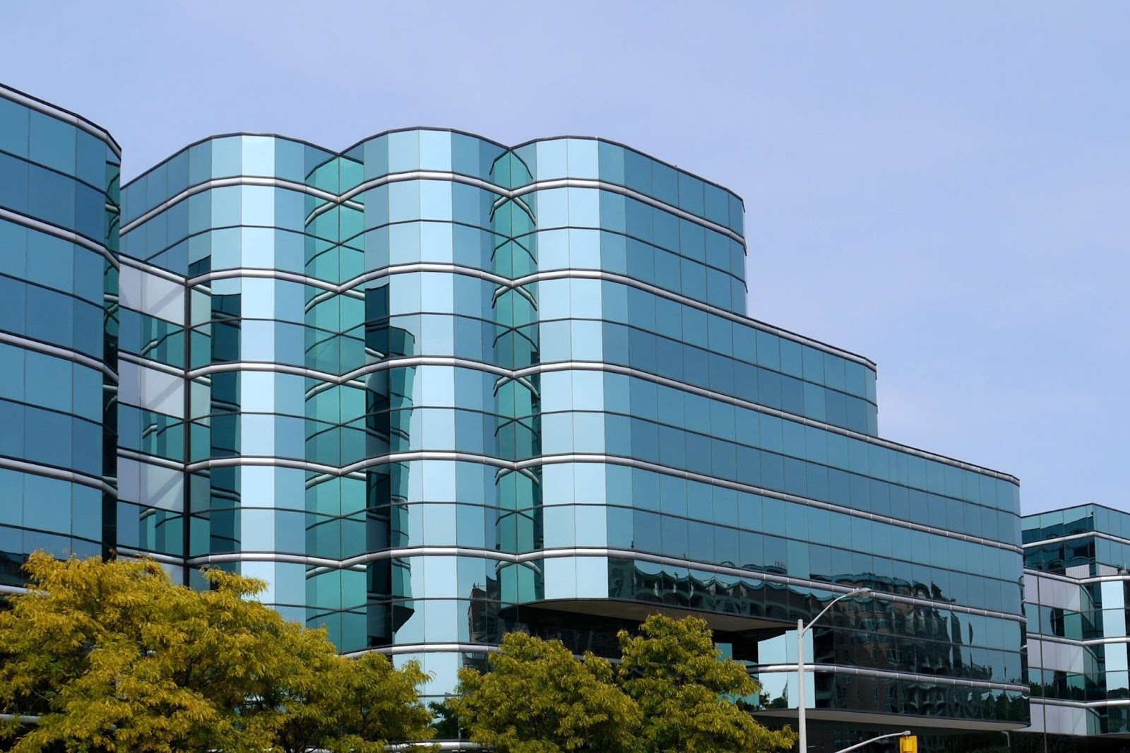 Washington Business Entity Search