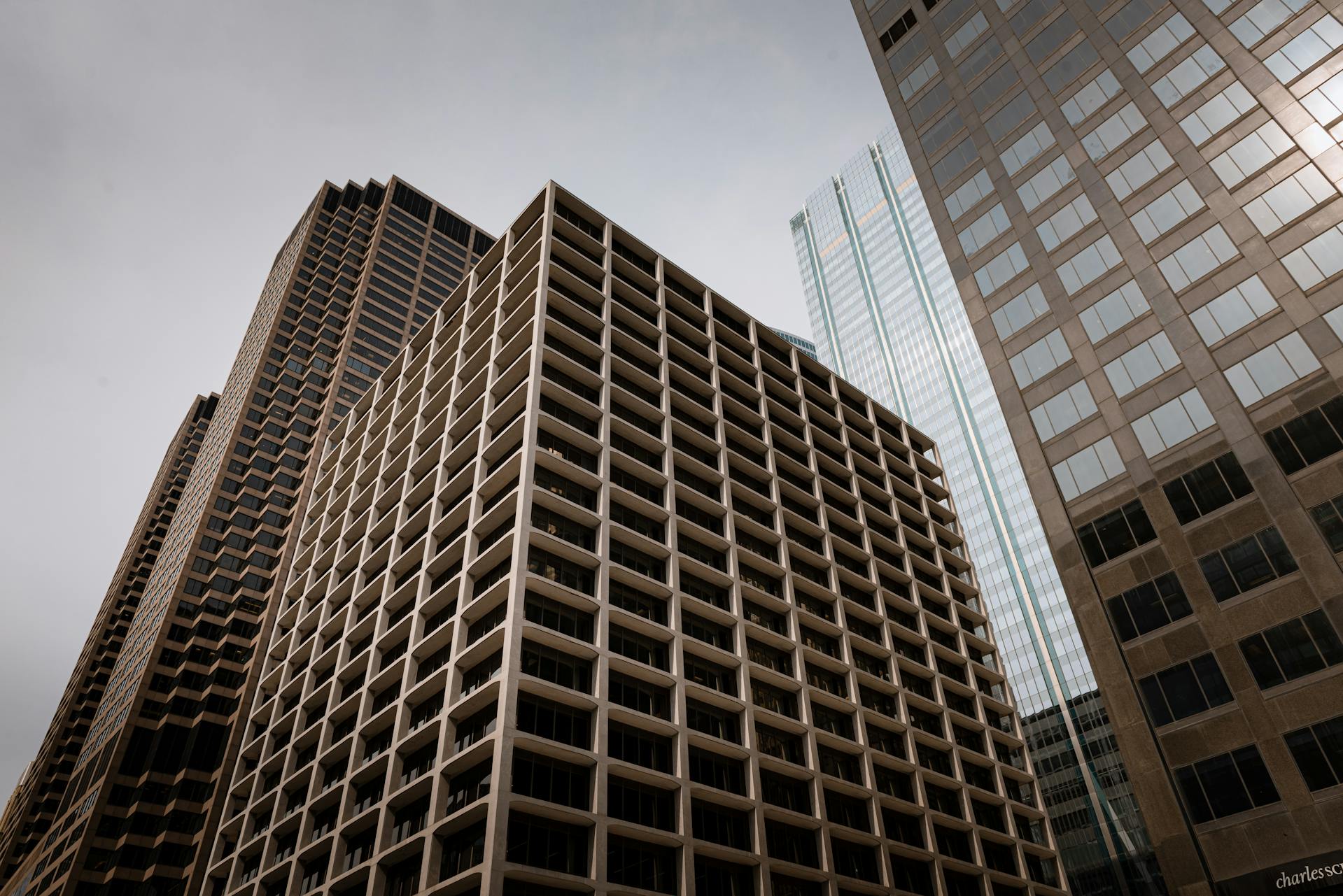 west-virginia-business-entity-search