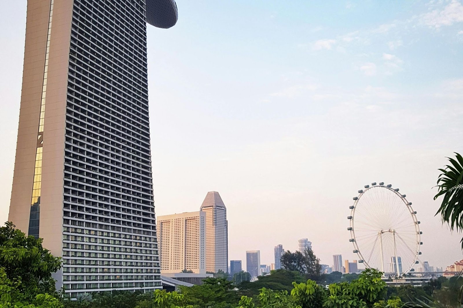 singapore-business-license