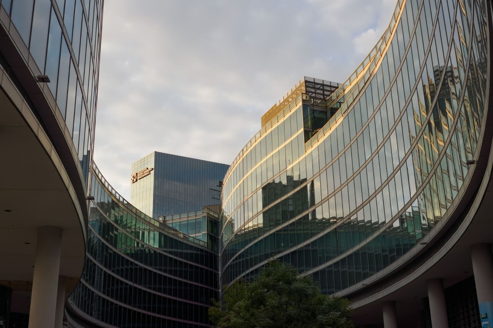 ubo-filing-singapore