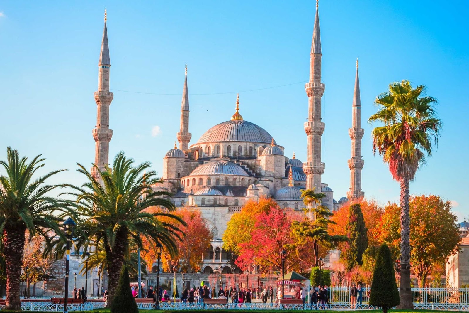 fiscal-representation-turkey