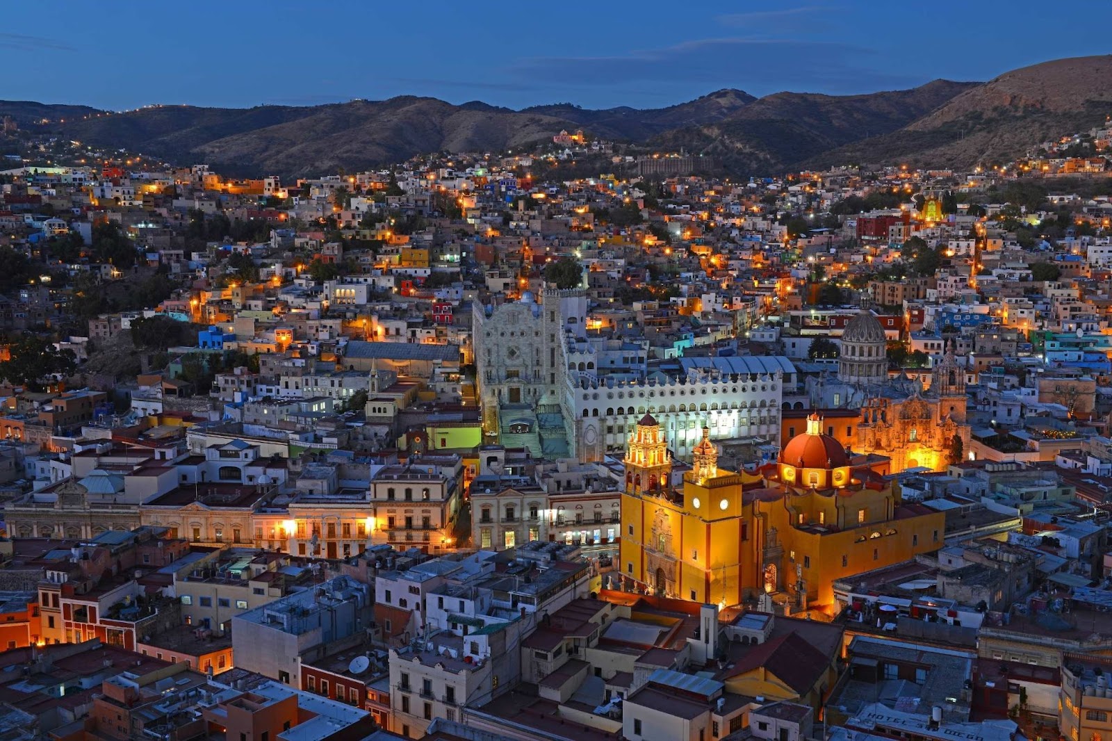 resident-director-services-mexico