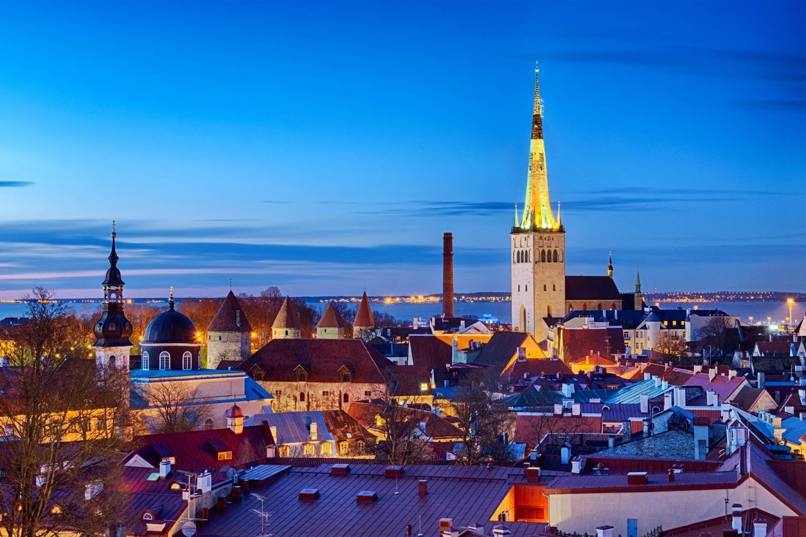 vat-refund-estonia-business